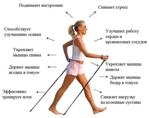 Предимствата на скандинавското ходене с пръчки